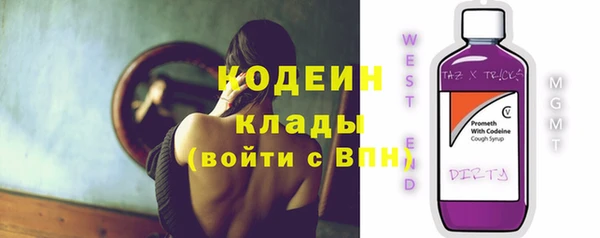 амф Арсеньев