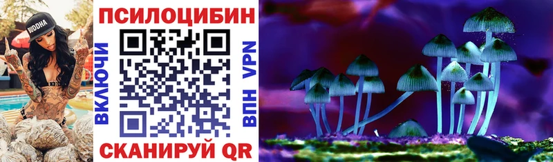 Галлюциногенные грибы Psilocybine cubensis  мега   Новоульяновск  где купить наркотик 